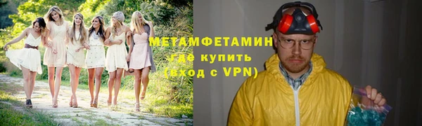 прущие грибы Волоколамск