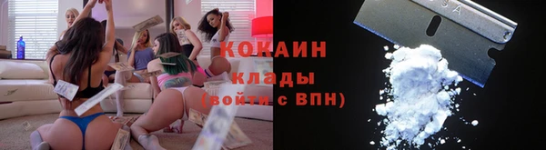 прущие грибы Волоколамск