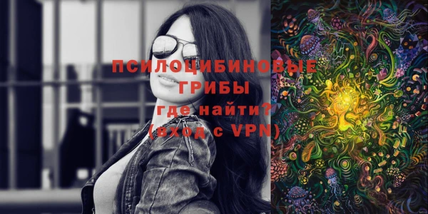 прущие грибы Волоколамск