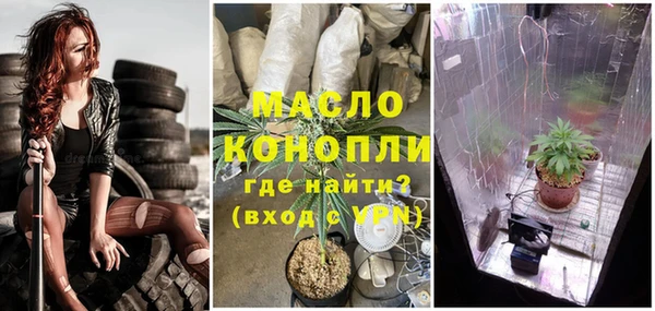 прущие грибы Волоколамск