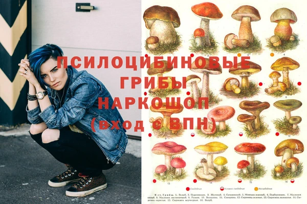 хмурый Волосово