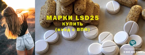прущие грибы Волоколамск