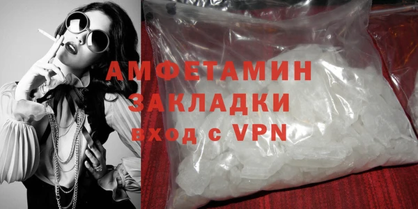 прущие грибы Волоколамск