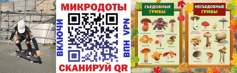 Купить  Кудрово  Псилоцибиновые грибы мицелий 